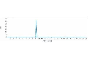 The purity of Anti-IL-10 Reference Antibody (BT-063) is 100 % , determined by SEC-HPLC. (Rekombinanter IL-10 Antikörper)