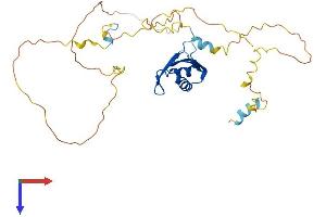 NUP35 Protein (AA 1-325) (His tag)