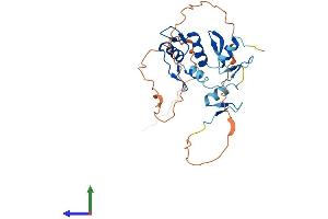 AlphaFold protein structure predicition of Mouse Recombinant Snai2 Protein, UniprotID P97469 (SLUG Protein (AA 1-269) (His tag))