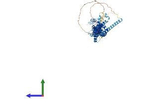Protein Structure (PS) image for Protein Regulator of Cytokinesis 1 (PRC1) (AA 1-603) protein (His tag) (ABIN7564882)