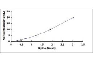 Typical standard curve (SLC1A5 ELISA Kit)