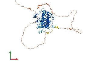 AlphaFold protein structure predicition of Human Recombinant RPS6KB1 Protein, UniprotID P23443