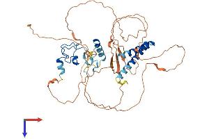 MTL5 Protein (AA 1-475) (His tag)