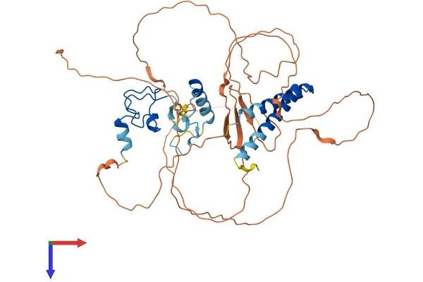 MTL5 Protein (AA 1-475) (His tag)