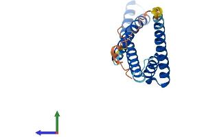 Protein Structure (PS) image for Translocase of Inner Mitochondrial Membrane 17 Homolog B (TIMM17B) (AA 1-172) protein (His tag) (ABIN7544318)