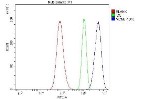 anti-Minichromosome Maintenance Complex Component 5 (MCM5) (AA 206-723) antibody