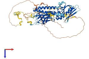 AlphaFold protein structure predicition of Mouse Recombinant Rtkn Protein, UniprotID Q8C6B2 (Rhotekin Protein (RTKN) (AA 1-564) (His tag))