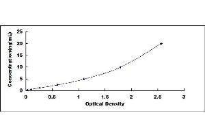 Typical standard curve (HSD17B3 ELISA Kit)