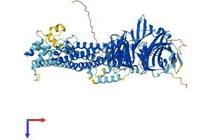 ANAPC4 Protein (AA 1-807) (His tag)