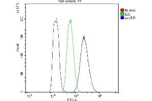 Flow Cytometry analysis of MFC cells using anti-VEGF Receptor 2 antibody (ABIN5693262). (VEGFR2/CD309 Antikörper  (AA 20-244))