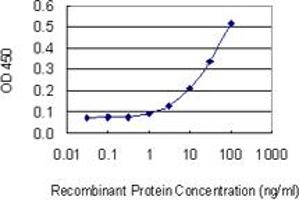 Detection limit for recombinant GST tagged LAMA2 is 1 ng/ml as a capture antibody. (Laminin Antikörper  (AA 3013-3122))