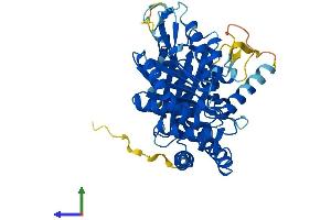 AlphaFold protein structure predicition of Mouse Recombinant Tube1 Protein, UniprotID Q9D6T1