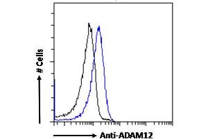 ABIN185301 Flow cytometric analysis of paraformaldehyde fixed HeLa cells (blue line), permeabilized with 0. (ADAM12 Antikörper  (N-Term))