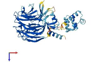 WDSUB1 Protein (AA 1-476) (His tag)