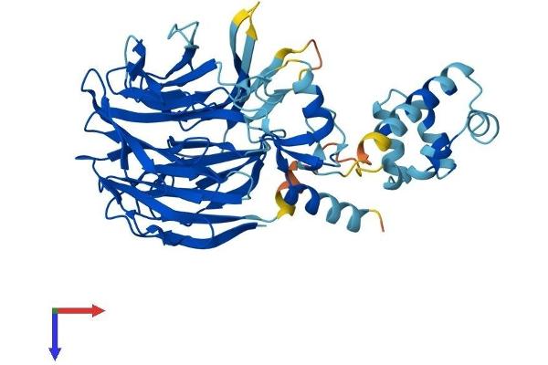 WDSUB1 Protein (AA 1-476) (His tag)