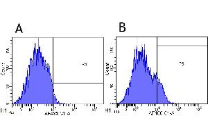 Flow-cytometry using anti-CD25 antibody Basiliximab   Cynomolgus monkey lymphocytes were stained with an isotype control (panel A) or the rabbit-chimeric version of Basiliximab ( panel B) at a concentration of 1 µg/ml for 30 mins at RT. (Rekombinanter IL2RA (Basiliximab Biosimilar) Antikörper)