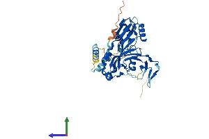 Protein Structure (PS) image for RNA Pseudouridylate Synthase Domain Containing 4 (RPUSD4) (AA 1-377) protein (His tag) (ABIN7560693)