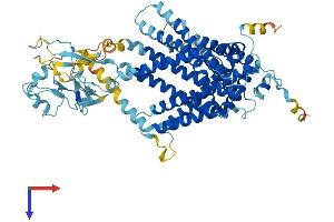 SLC44A4 Protein (AA 1-710) (His tag)