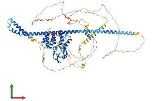 Protein Structure (PS) image for Hepatocyte Growth Factor-Regulated tyrosine Kinase Substrate (HGS) (AA 1-777) protein (His tag) (ABIN7554103)