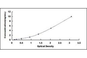 Typical standard curve (TNFRSF10B ELISA Kit)