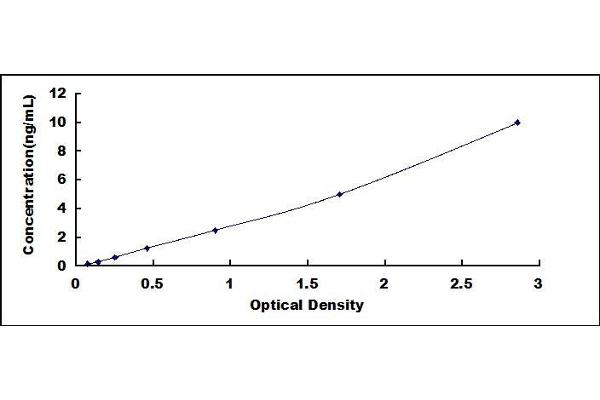 MDM2 ELISA Kit