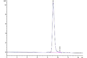 Size-exclusion chromatography-High Pressure Liquid Chromatography (SEC-HPLC) image for Plasminogen Activator, Urokinase Receptor (PLAUR) (AA 115-305) protein (His tag) (ABIN7275405)