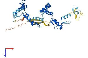 ZNF771 Protein (AA 1-317) (His tag)