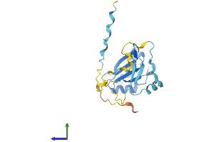 Protein Structure (PS) image for Regulator of Calcineurin 2 (RCAN2) (AA 1-197) protein (His tag) (ABIN7551192)
