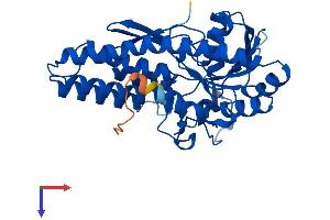 MRI1 Protein (AA 1-369) (His tag)