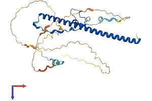 DBP Protein (AA 1-325) (His tag)