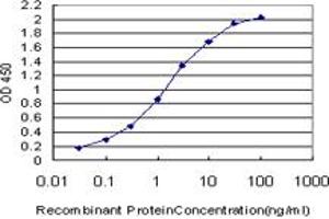 Detection limit for recombinant GST tagged CUTL1 is approximately 0. (CUX1 Antikörper  (AA 521-620))