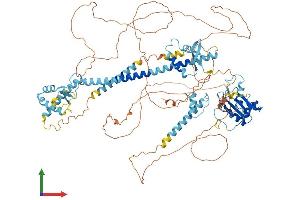Protein Structure (PS) image for LEM Domain Containing 3 (LEMD3) (AA 1-921) protein (His tag) (ABIN7565214)