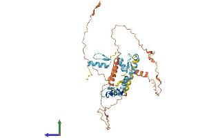 AlphaFold protein structure predicition of Human Recombinant ZNF589 Protein, UniprotID Q86UQ0
