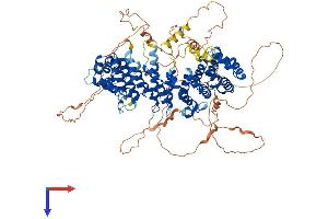 SAPS1 Protein (AA 1-881) (His tag)