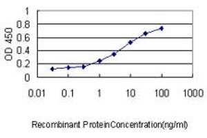 Detection limit for recombinant GST tagged PPIA is approximately 0. (PPIA Antikörper  (AA 1-165))