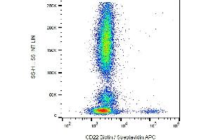 Flow cytometry analysis (surface staining) of human peripheral blood cells with anti-CD22 (MEM-01) biotin / streptavidin-APC. (CD22 Antikörper  (Biotin))