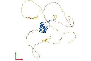 AlphaFold protein structure predicition of Mouse Recombinant Dlx2 Protein, UniprotID P40764
