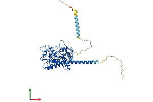 AlphaFold protein structure predicition of Human Recombinant HS6ST1 Protein, UniprotID O60243