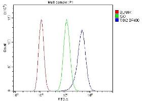 Flow Cytometry analysis of THP-1 cells using anti-TXN2 antibody (ABIN7602150). (TXN2 Antikörper  (AA 60-166))