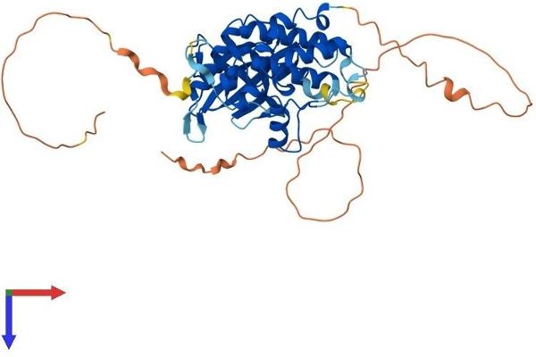 STK17A Protein (AA 1-414) (His tag)