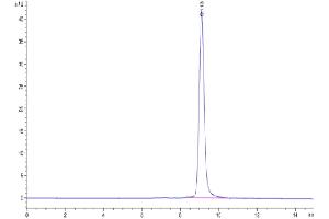 Size-exclusion chromatography-High Pressure Liquid Chromatography (SEC-HPLC) image for Interleukin 22 Receptor, alpha 1 (IL22RA1) (AA 18-225) protein (His tag) (ABIN7275008)