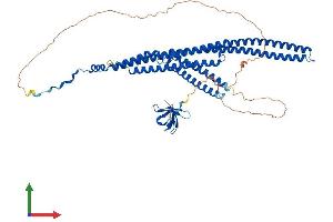 AlphaFold protein structure predicition of Mouse Recombinant Fnbp1l Protein, UniprotID Q8K012