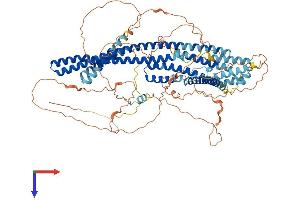 DISC1 Protein (AA 1-852) (His tag)