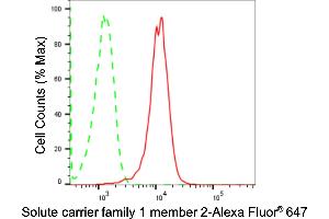 Flow cytometric analysis of Solute carrier family 1 member 2 expression in HepG2 cells using Solute carrier family 1 member 2 antibody (ABIN7800385), 1:2,000).
