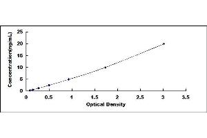 Typical standard curve (FUCA1 ELISA Kit)