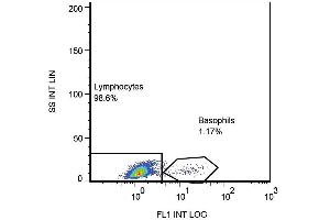 Surface staining of human peripheral blood by anti-CD203c antibody (NP4D6) FITC. (ENPP3 Antikörper  (FITC))