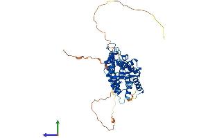 AlphaFold protein structure predicition of Mouse Recombinant Rara Protein, UniprotID P11416
