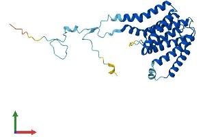Protein Structure (PS) image for Phosphatidylinositol Glycan C (PIGC) (AA 1-297) protein (His tag) (ABIN7560724)