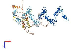 ZNF530 Protein (AA 1-599) (His tag)