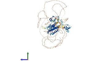 Protein Structure (PS) image for Mitogen-Activated Protein Kinase Kinase Kinase MLK4 (KIAA1804) (AA 1-1036) protein (His tag) (ABIN7554513)